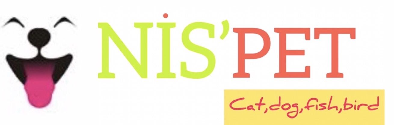 NİSPETFOOD.COM